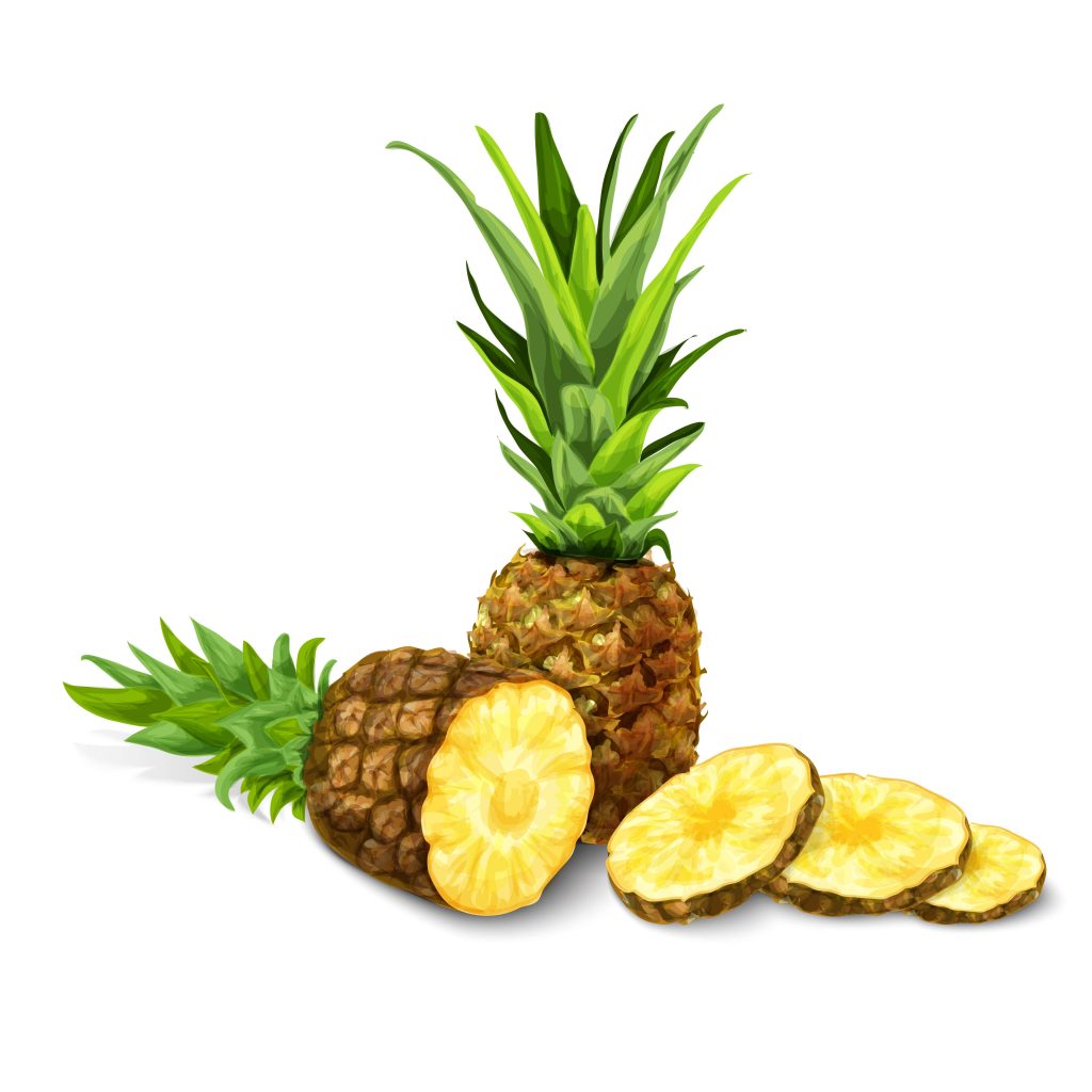 Pineapple Fruit